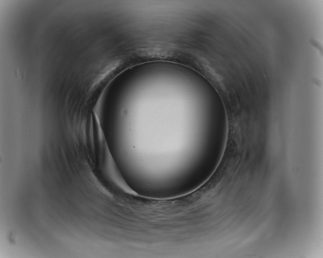 X0000098220020200804241354