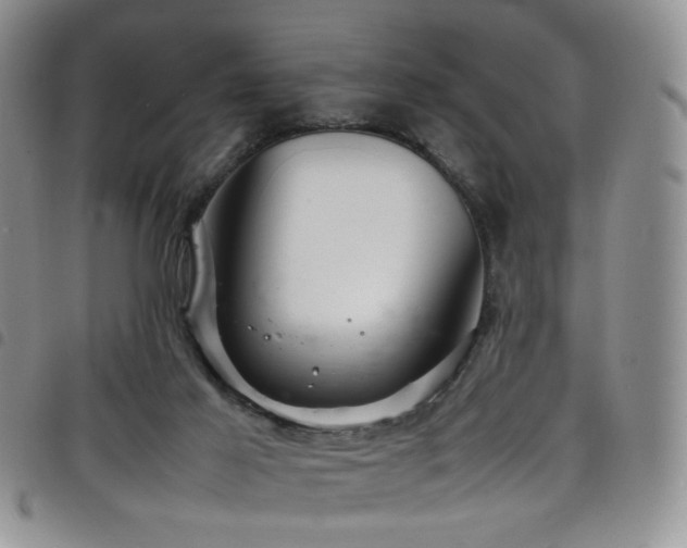 X0000098220021200804241354