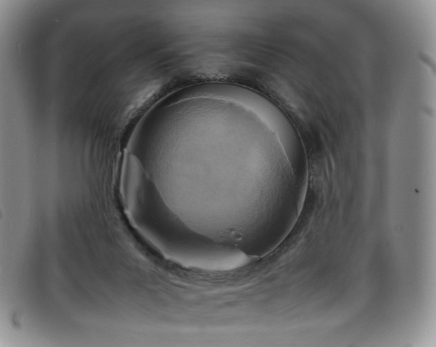 X0000098220023200804241354