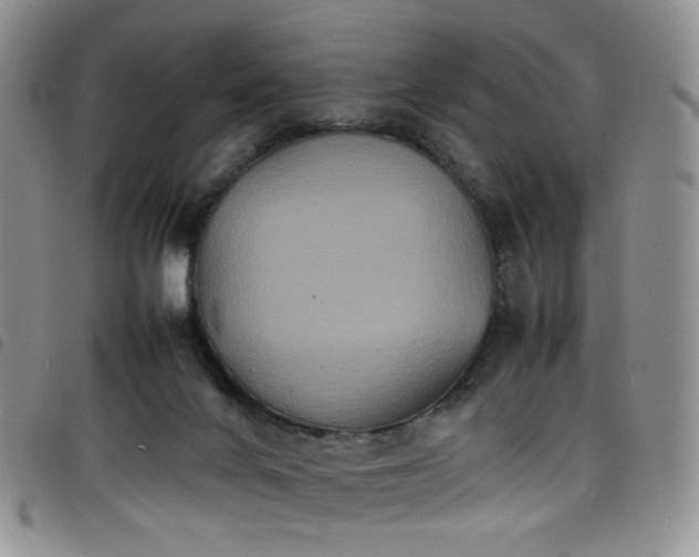 X0000098220024200804241354