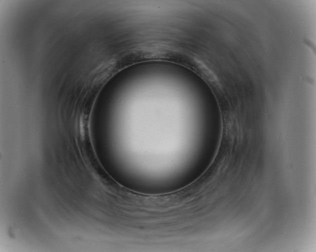X0000098220026200804241354