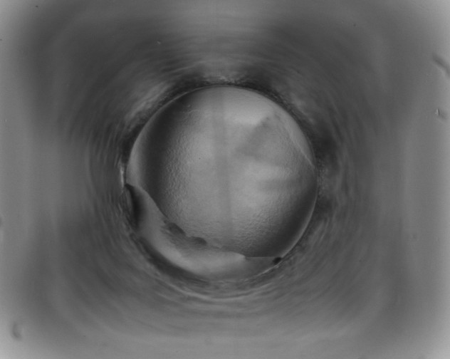 X0000098220027200804241354
