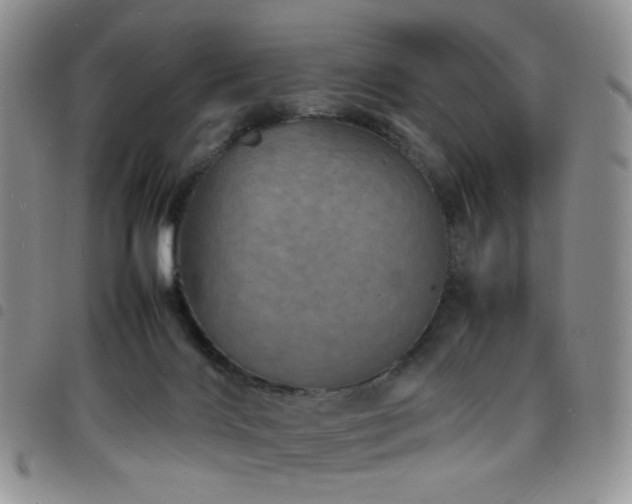 X0000098220028200804241354