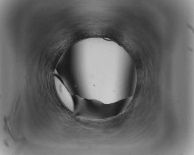 X0000098220029200804241354