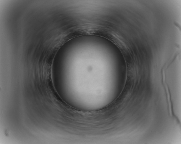 X0000098220030200804241354