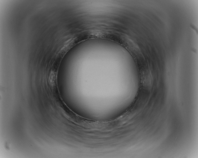 X0000098220036200804241354