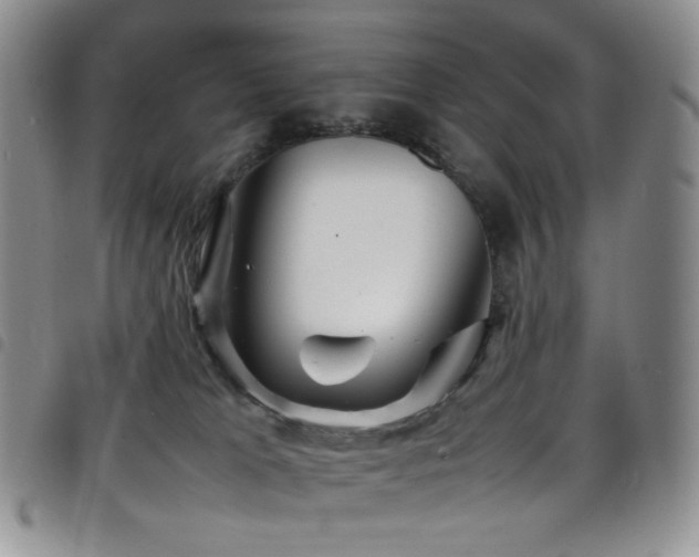 X0000098220037200804241354