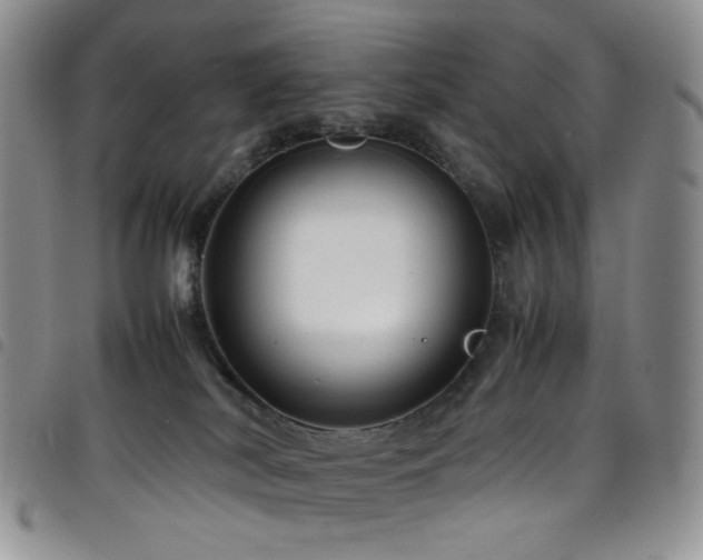 X0000098220038200804241354