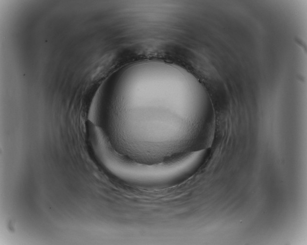 X0000098220039200804241354
