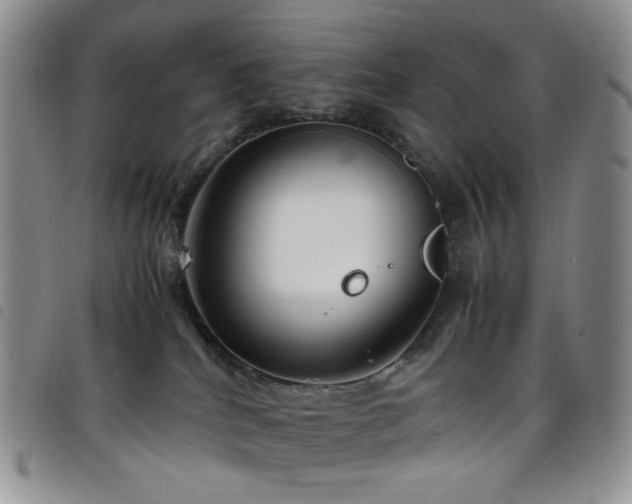 X0000098220040200804241354