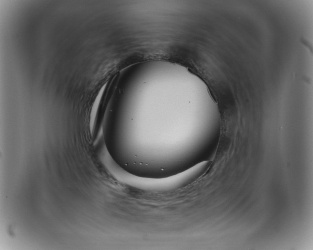 X0000098220041200804241354