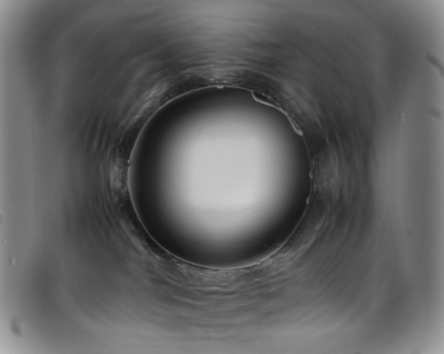X0000098220044200804241354