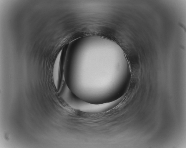 X0000098220045200804241354