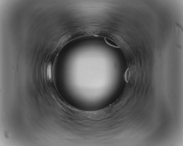 X0000098220046200804241354