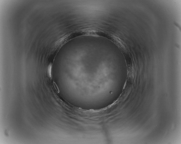 X0000098220047200804241354