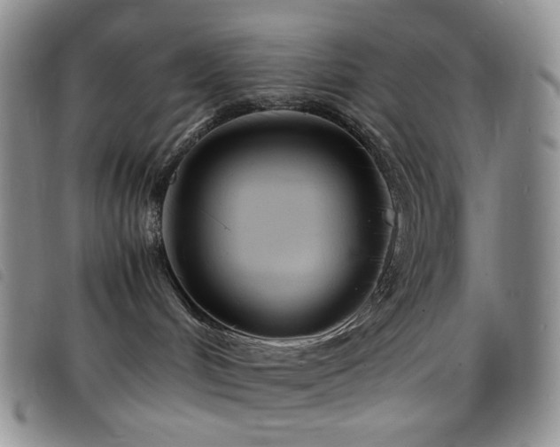 X0000098220048200804241354