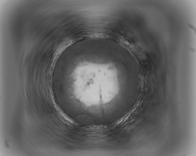 X0000098220049200804241353