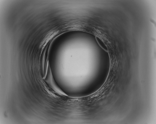 X0000098220050200804241353