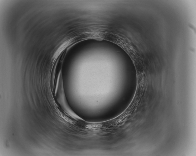 X0000098220051200804241353