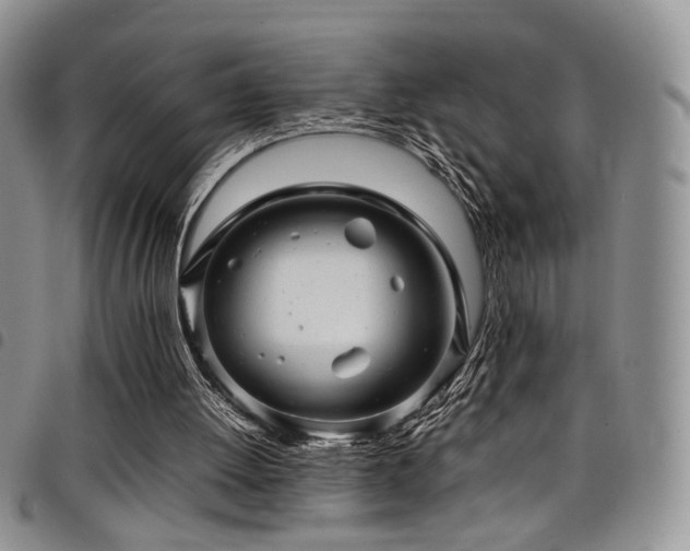 X0000098220052200804241353