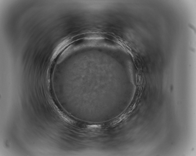 X0000098220053200804241353