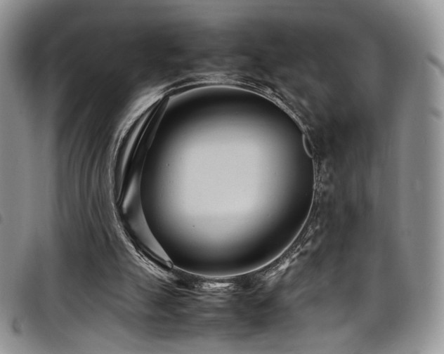 X0000098220055200804241353