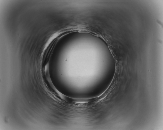 X0000098220056200804241353