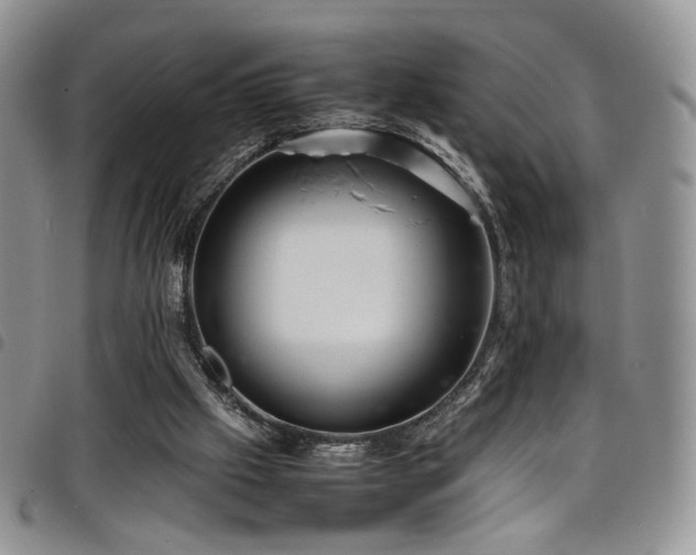 X0000098220057200804241353