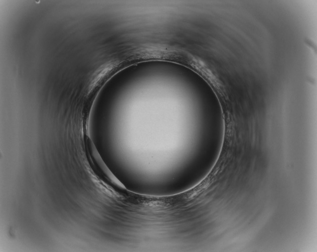 X0000098220058200804241353