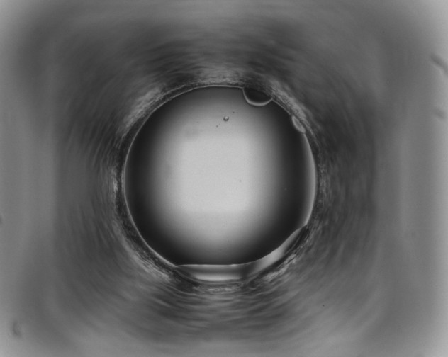 X0000098220059200804241353
