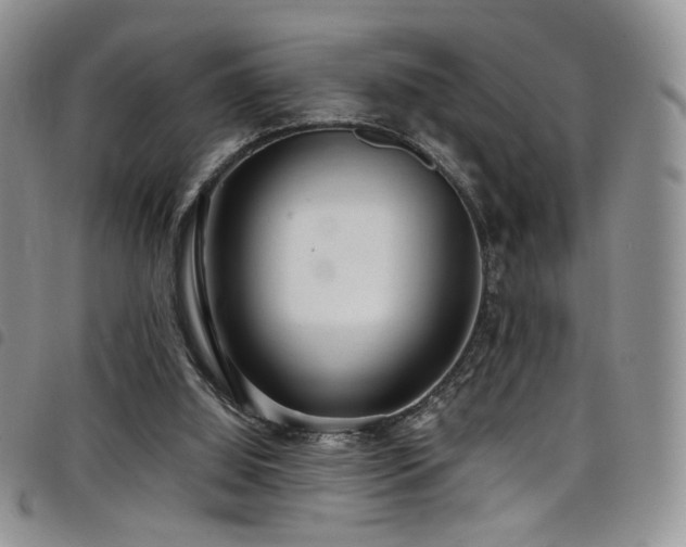 X0000098220060200804241353