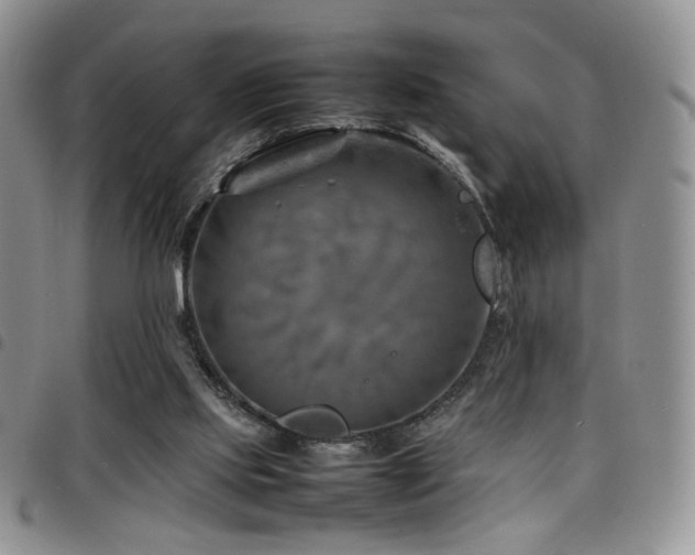 X0000098220061200804241353
