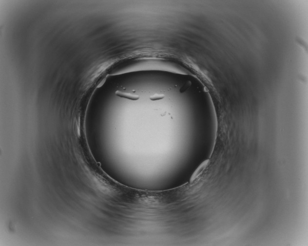 X0000098220062200804241353