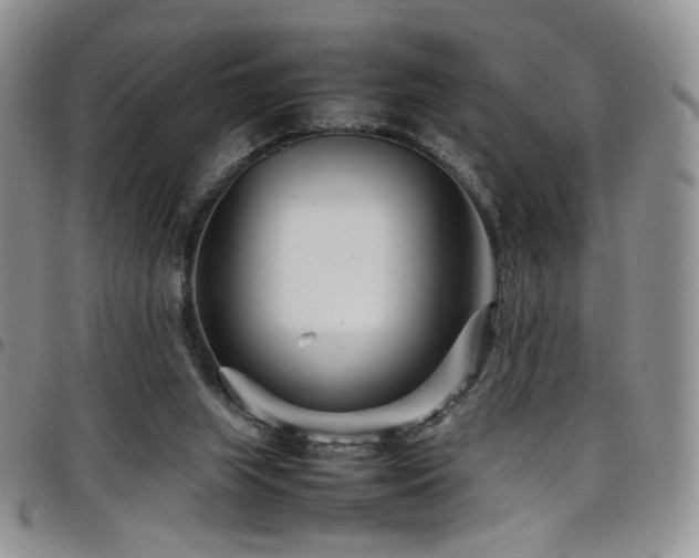 X0000098220063200804241353
