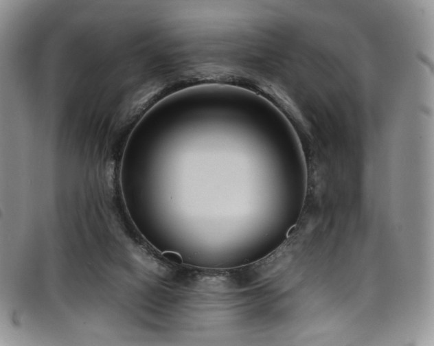 X0000098220066200804241353