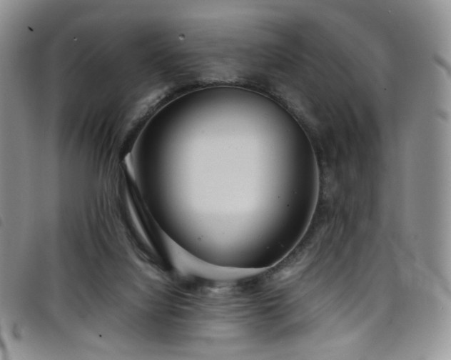 X0000098220068200804241353