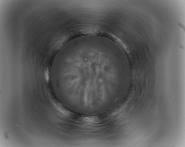 X0000098220069200804241353