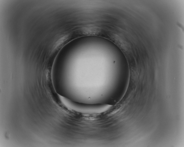 X0000098220071200804241354