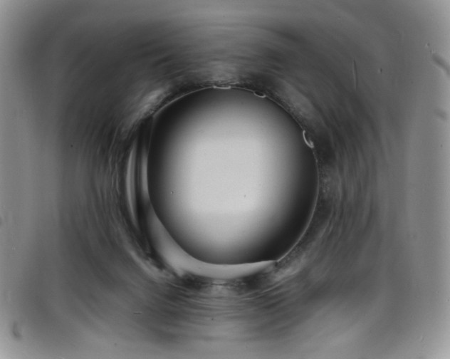 X0000098220072200804241354
