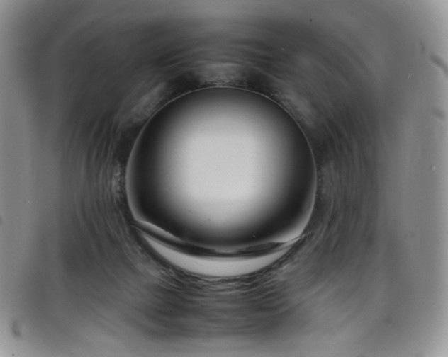 X0000098220073200804241354