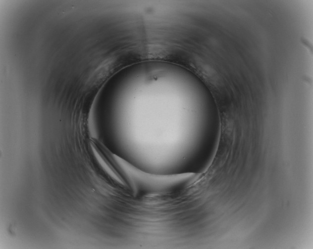 X0000098220074200804241354