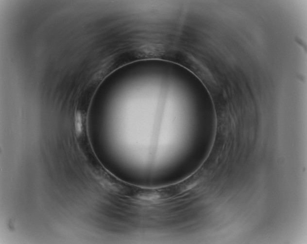 X0000098220075200804241354