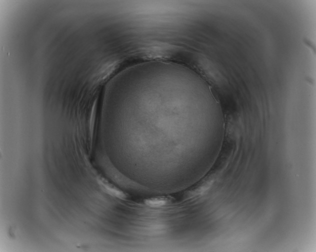 X0000098220076200804241354