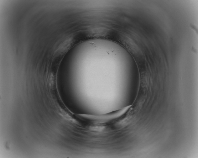 X0000098220077200804241354