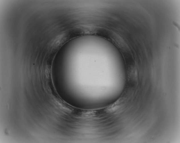 X0000098220078200804241354