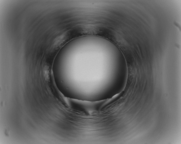 X0000098220080200804241354
