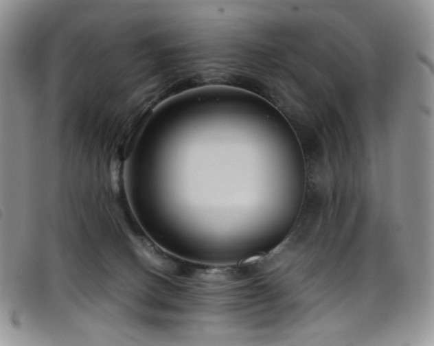 X0000098220082200804241354