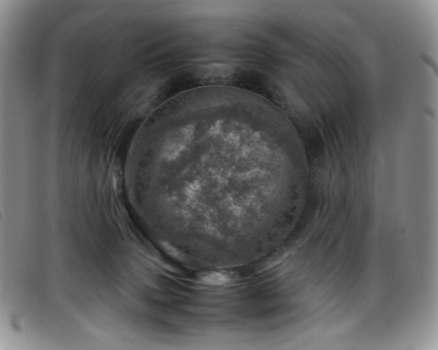 X0000098220083200804241354