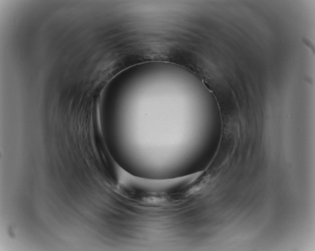 X0000098220084200804241354