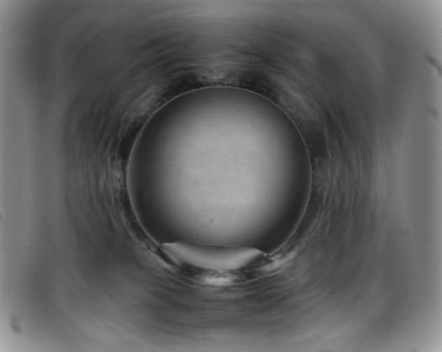 X0000098220085200804241354